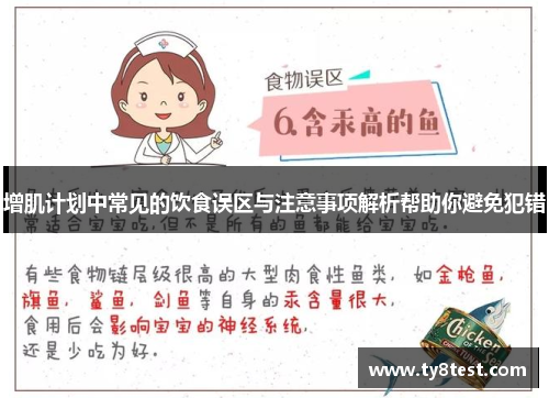 增肌计划中常见的饮食误区与注意事项解析帮助你避免犯错