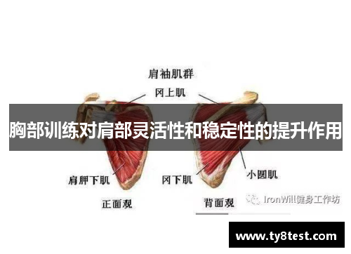 胸部训练对肩部灵活性和稳定性的提升作用
